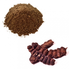 Organic Shikakai Fruit Extract Powder