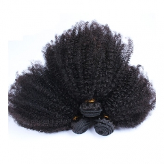 Mongoolse Afro Kinky Krullend Haar Met Sluiting 4 stks 3 Dolago Haarproducten Bundels Met Sluiting Human Hair Weave Remy